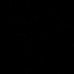 BlANKNYC distressed jeans